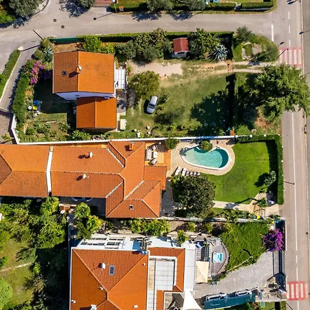 Magnolia * ウマグ